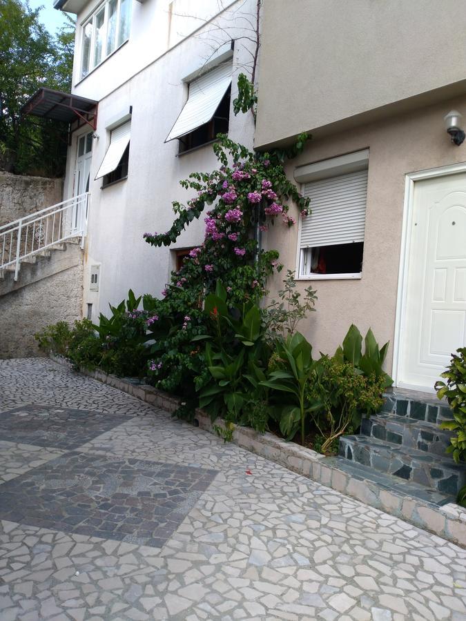 Beautiful Apartment